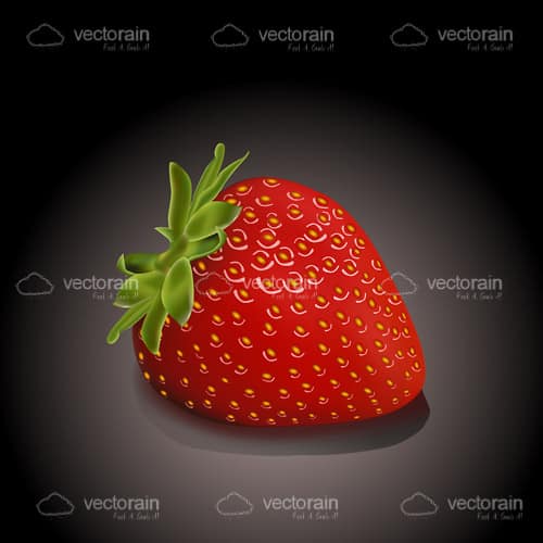 Single Fresh Strawberry on a Black to White Hued Background